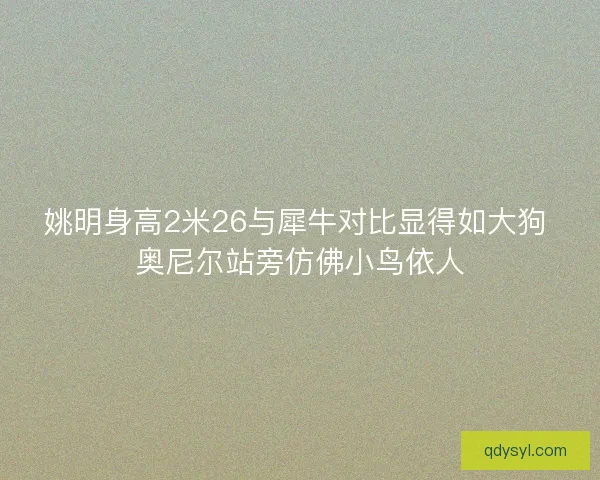 姚明身高2米26与犀牛对比显得如大狗 奥尼尔站旁仿佛小鸟依人 姚明身高2米26与犀牛对比显得如大狗 奥尼尔站旁仿佛小鸟依人